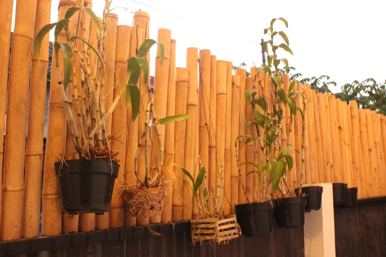 The Wayang Homestay Yogyakarta Esterno foto